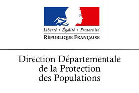 France Relance : appel à projets pour améliorer la prise en charge des animaux abandonnés.