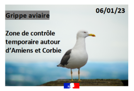 Influenza aviaire - zone réglementée autour d'Amiens - Corbie